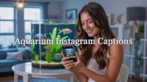Aquarium Instagram Captions