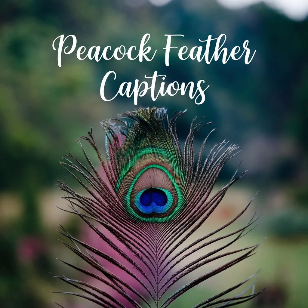 Peacock Feather Captions