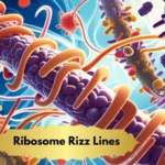 Ribosome Rizz Lines