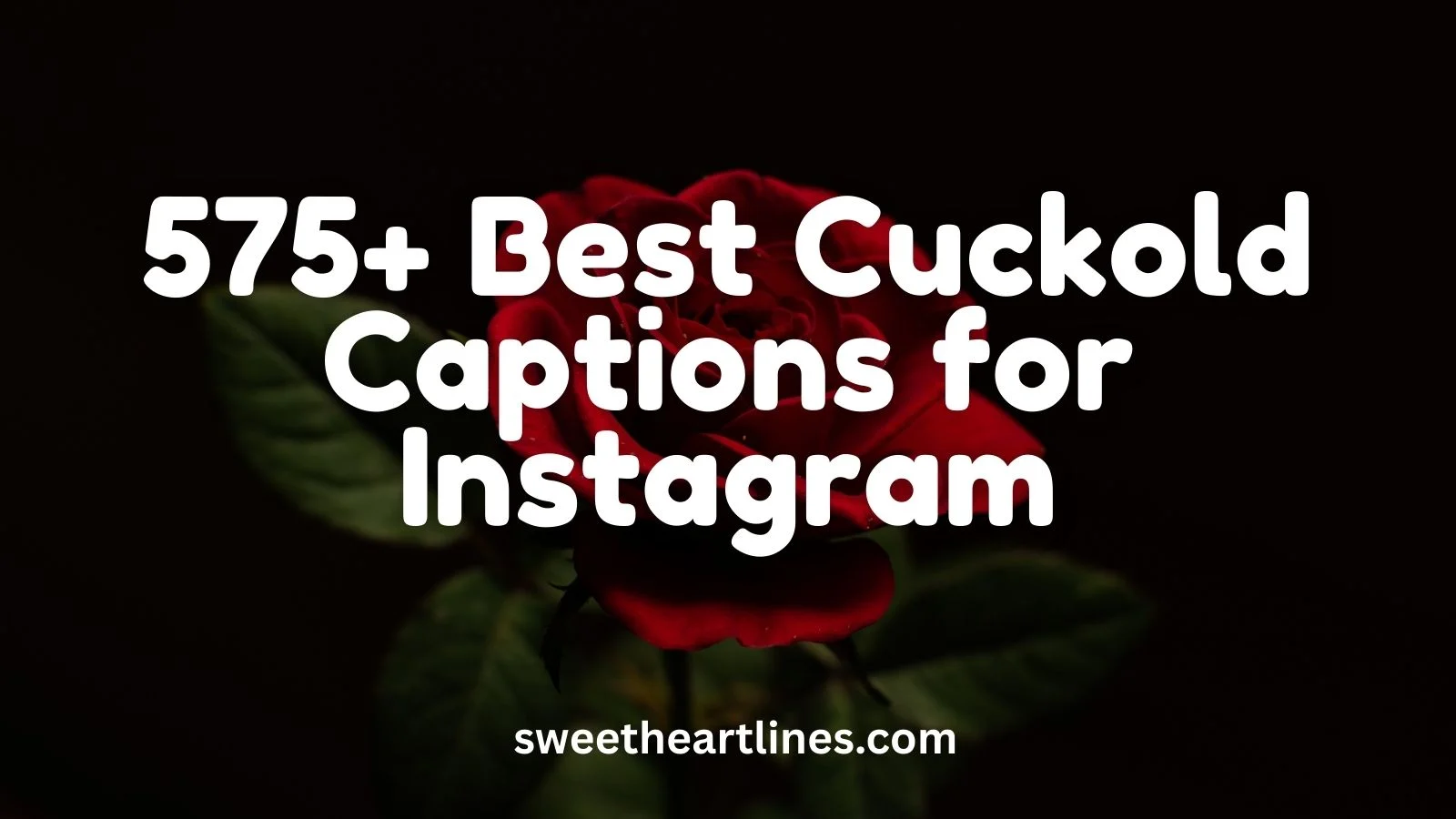 Best Cuckold Captions for Instagram