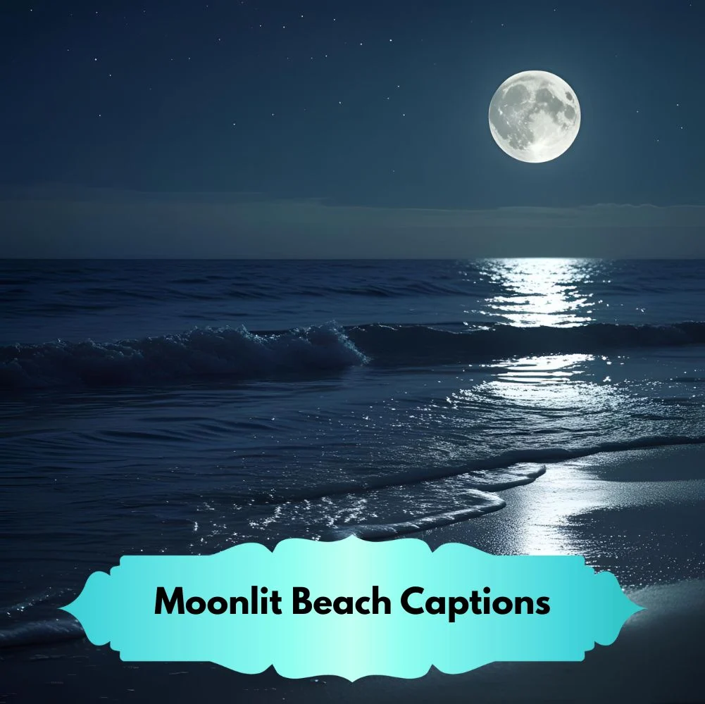 Moonlit Beach Captions