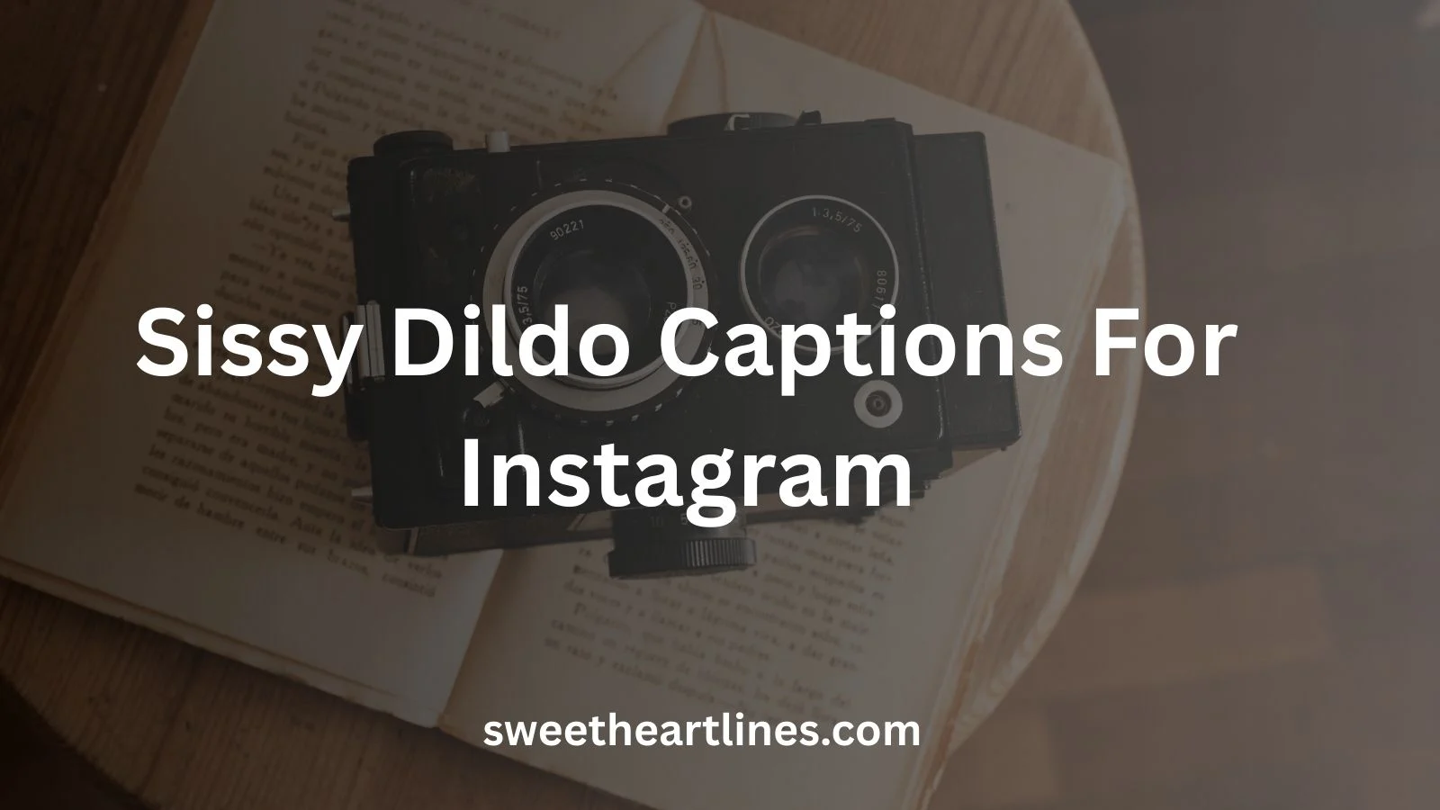 Sissy Dildo Captions For Instagram