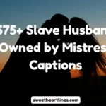 Slave Husband Owned by Mistress Captions