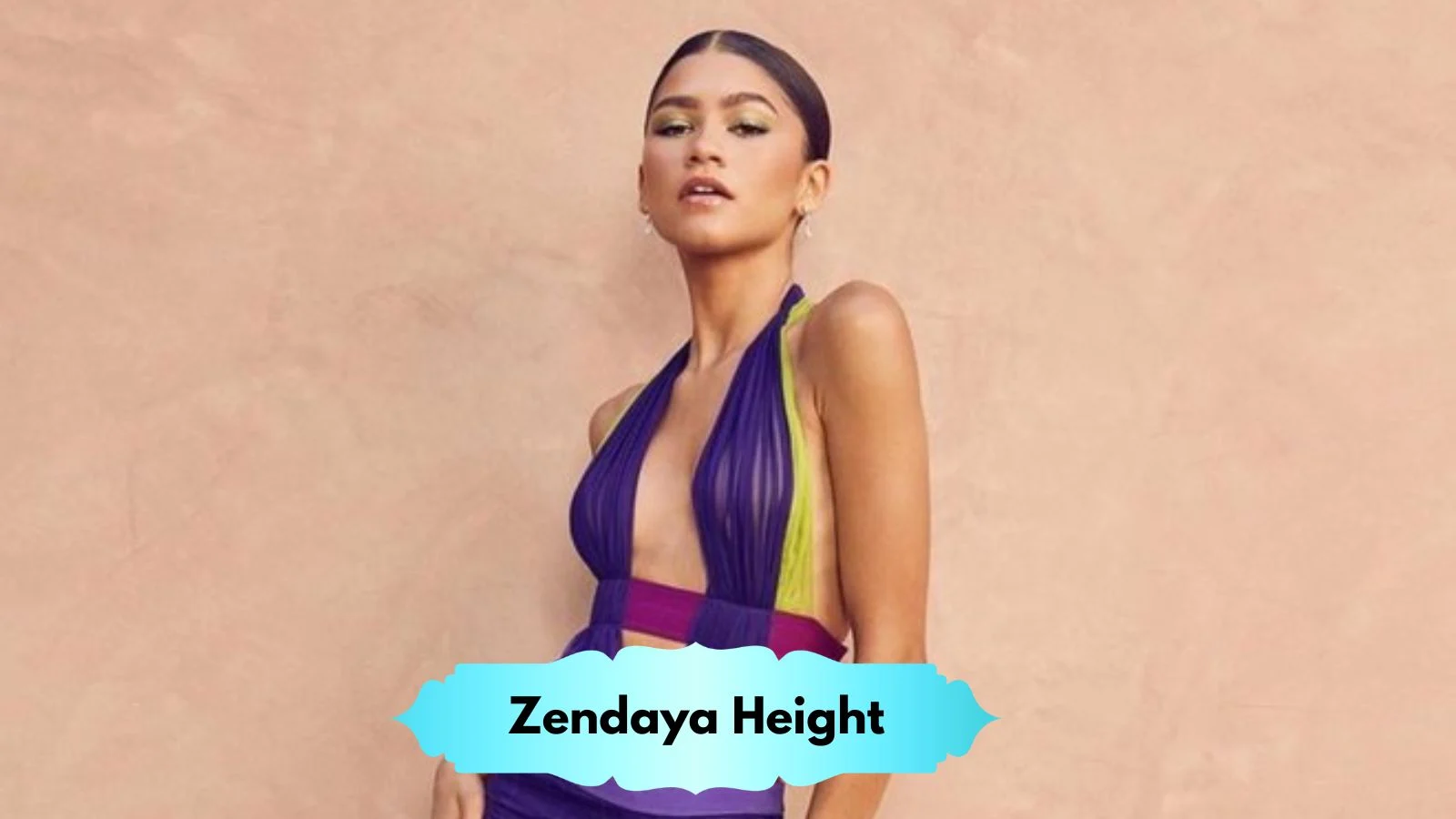 Zendaya Height