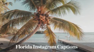 Florida Instagram Captions